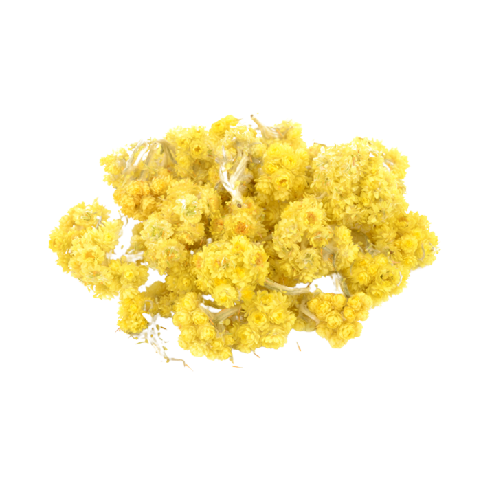 Экстракт сухой — бессмертник (цвет)