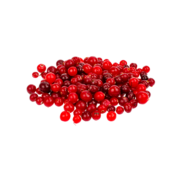 Lingonberry Extract — dry concentrate