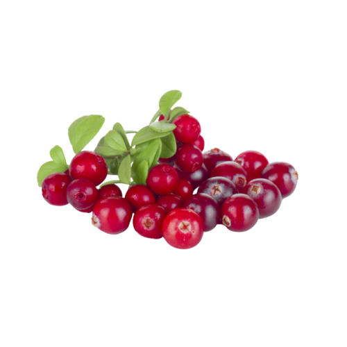 Экстракт клюквы сухой