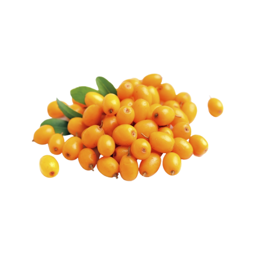 Экстракт облепихи сухой