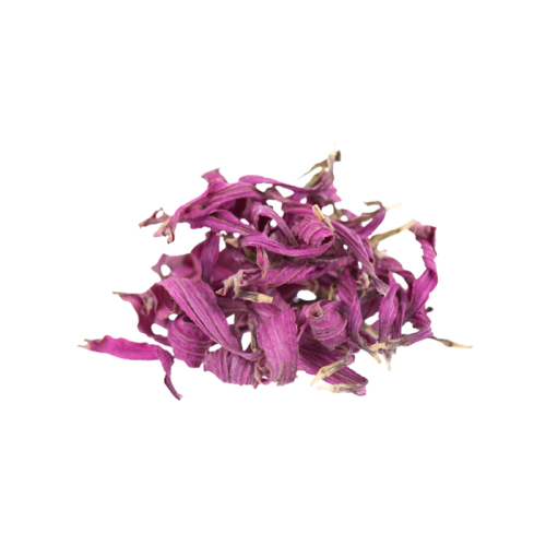 Echinacea Extract — dry concentrate