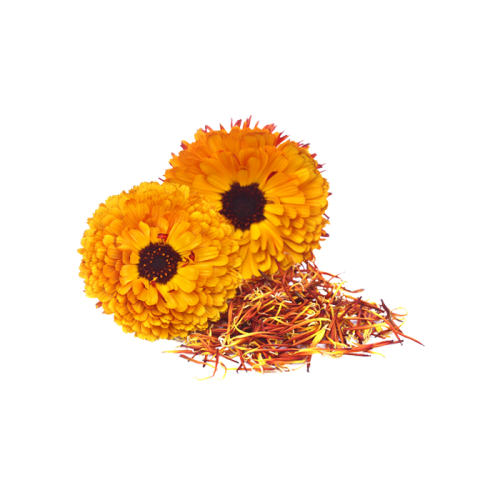 Экстракт календулы сухой