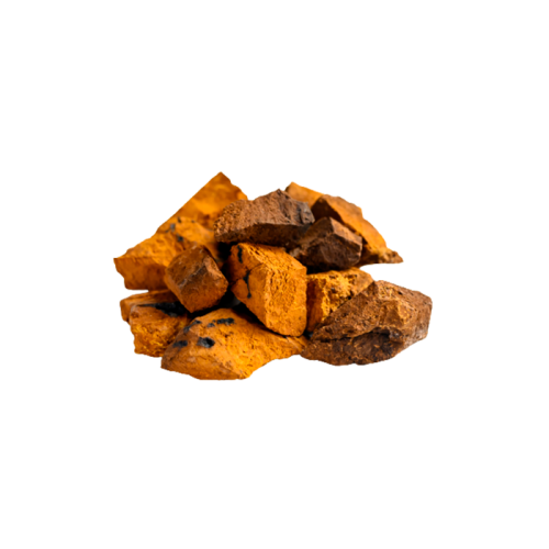 Chaga Extract — dry concentrate