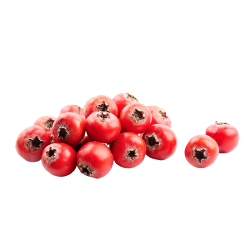 Hawthorn fruit Extract — dry concentrate