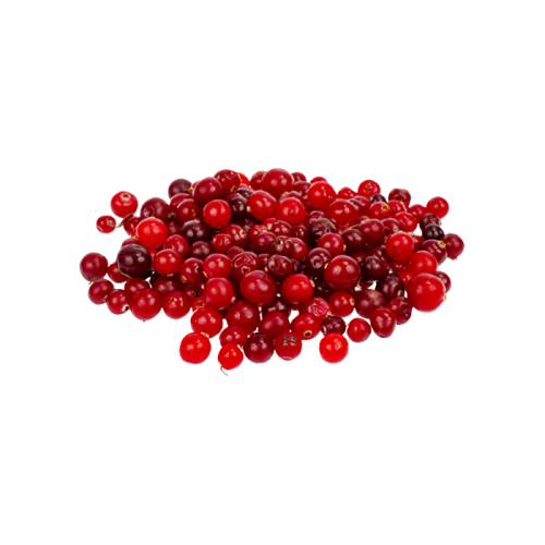 Экстракт брусники сухой