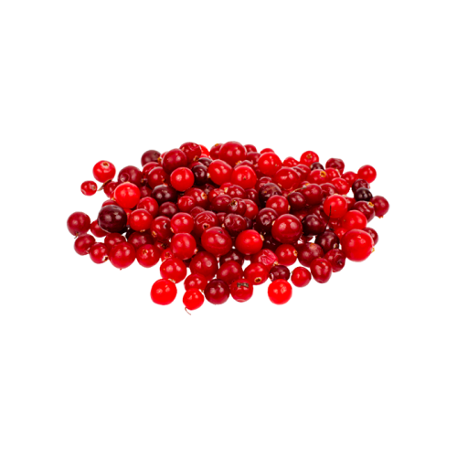 Lingonberry Extract — dry concentrate