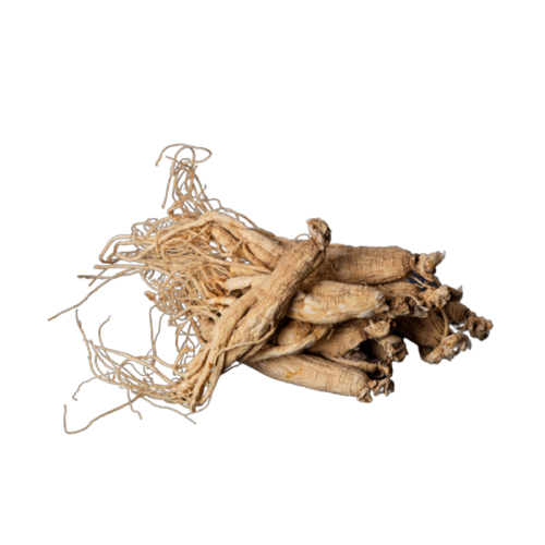 Eleuthero Extract — dry concentrate